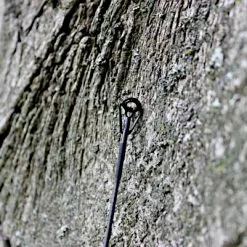 Hengel Ashima FFX-F 7 Hengel Ashima FFX-F -Fishfinder Winkel 005d0d6366159e5f