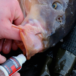 Visspullen Angling Pursuits Cradle Set -Fishfinder Winkel 07175c021d39c5ce