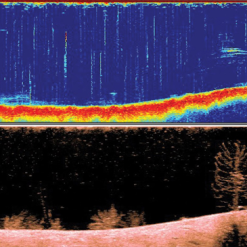Visspullen Raymarine Dragonfly 5 Pro Incl. Suncover Afdekkap -Fishfinder Winkel 0767a7211d534e5a