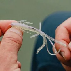 Visspullen Jaeger Perch Go Kit Hengelset 2,04m (5-15g) 15 Visspullen Jaeger Perch Go Kit Hengelset 2,04m (5-15g) -Fishfinder Winkel 2ecee9c9869511d5