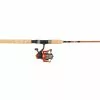 Visspullen Abu Garcia Revolution Combo (3 Reviews) -Fishfinder Winkel 868dd8642e4b3946